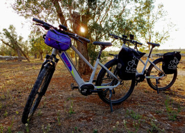 Trekking E-bike Rent